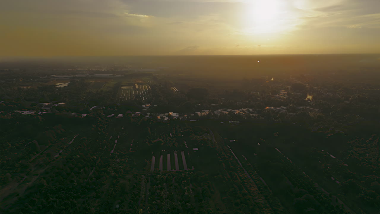 captura la serena belleza de la naturaleza despertando, con sombras suaves bailando a través del paisaje