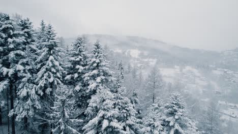 Aerial-shot-of-winter-forest-in-foggy-morning