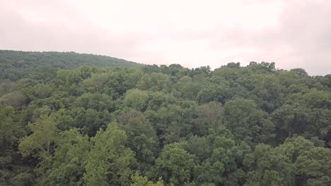 drone volando hacia adelante sobre árboles y bosques en las montañas humeantes en el este de tennessee durante un día nublado con casas en la distancia