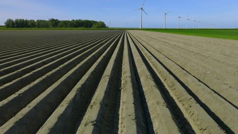 lecho seco de patatas en tierras planas, a la espera de ser sembrado, agricultura