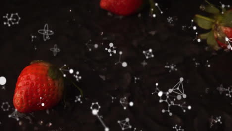 animation of molecules moving over strawberries in water on black background