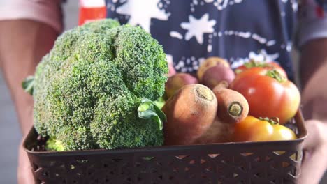 person holding a basket of fresh vegetables