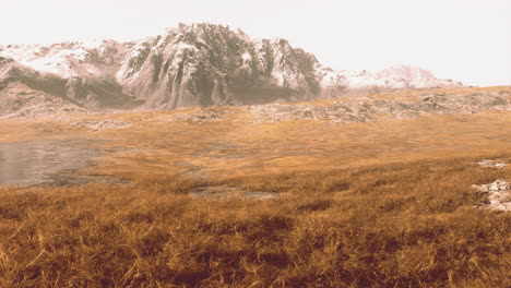 snowy mountain landscape with grassy valley