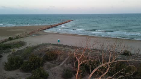 vista de un avión no tripulado de una playa tranquila con un rompeolas al atardecer pasando un árbol muerto