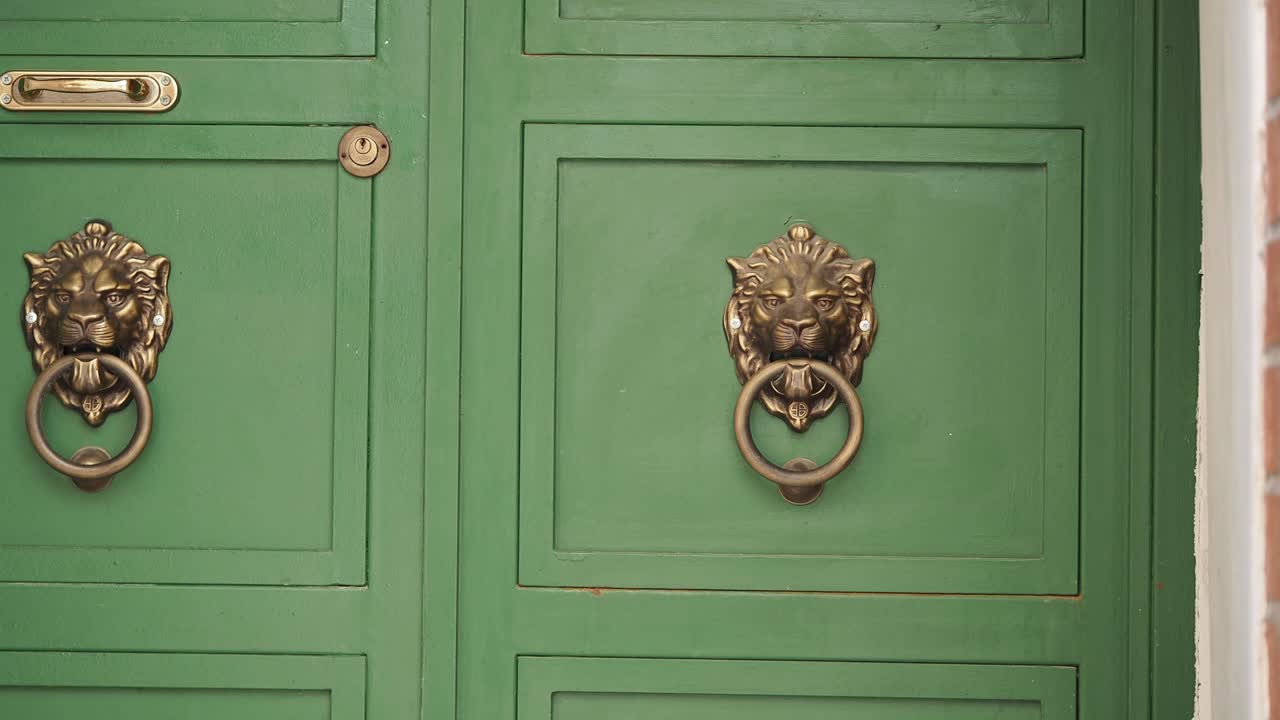 Door with Lion Knocker