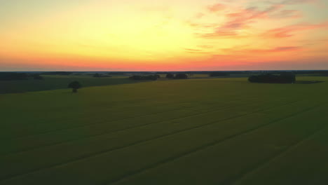 a beautiful yellow sunset over huge green meadow landscapes