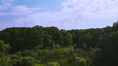 Sommertag-In-Muskegon-über-Dem-Wald