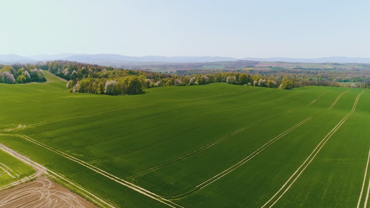Aerial View Of Agricultural Field 3