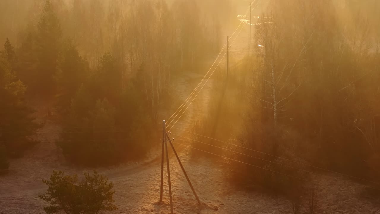 Sunlight filters through misty spring forest as drone moves backward, old poles