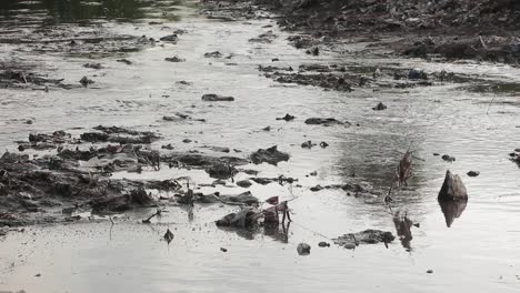 Wasser-Aus-Dem-Ravi-Fluss-Fließt-Durch-Eine-Mülldeponie-Für-Die-Entsorgung-Von-Giftmüll-In-Einem-Slum-In-Pakistan
