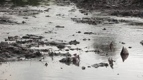 agua del río ravi que fluye a través de un sitio de basura de eliminación de desechos tóxicos de tugurios, pakistán