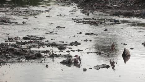 water from ravi river flowing through a slums toxic waste disposal trash site, pakistan