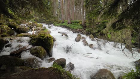 Gebirgsfluss-Im-Wald-In-Zeitlupe.-Wunderschöne-Tierlandschaft.