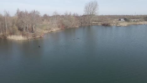 Imágenes-De-Drones-De-Buceo-Libre-Para-Crustáceos-En-Un-Pequeño-Lago-Danés-A-Principios-De-La-Primavera