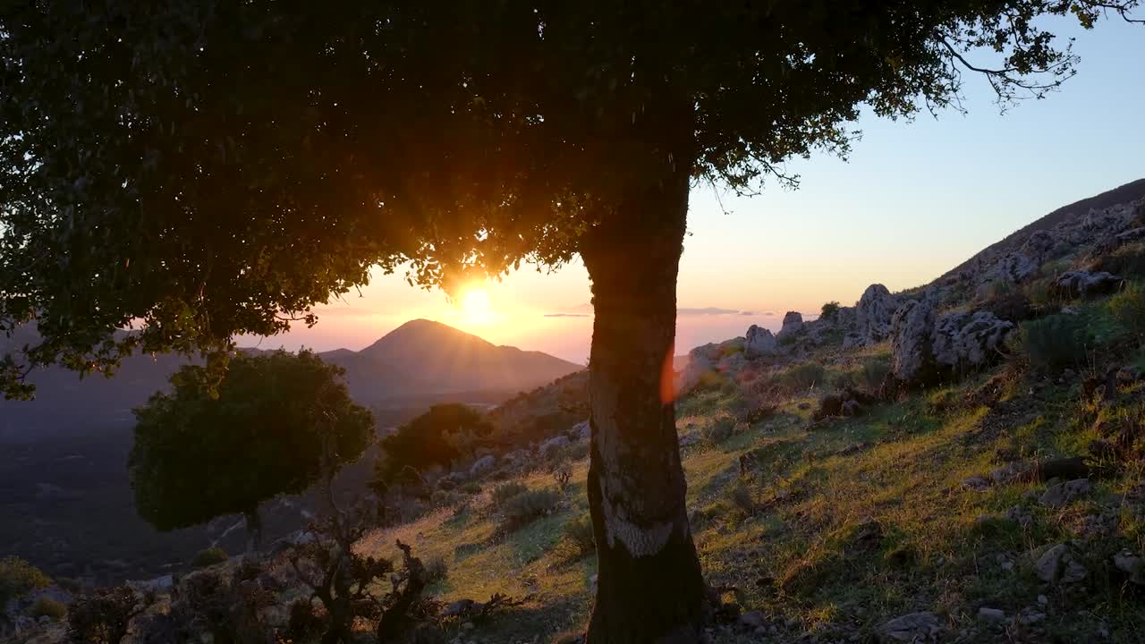 Sunset over Mountainous Landscape with a Tree