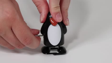 A close-up of hands winding a black and white penguin toy on a white background.