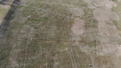 aerial view of two people flying a kite in a city park