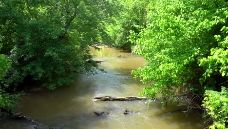 Tranquil-Creek-in-Georgia-during-spring