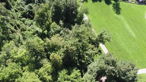 Swiss-landscape-Arial-shot-tilt-from-trees-up-to-stunning-lake-and-Swiss-Alps