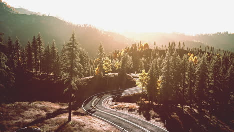 winding road through a forest with sun setting