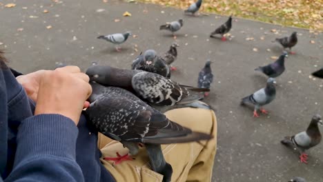 a girl sat on a bench in the park feeding a flock of pigeons on her lap