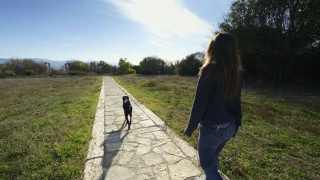 vrouw wandelen met haar hond in de natuur. 4k