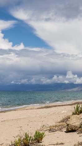 wild-beach-in-greece-in-vertical