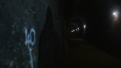 a dark tunnel with brick walls stretches into the distance, illuminated by evenly spaced lights along one side. the dark, narrow passage creates a mysterious and slightly eerie atmosphere