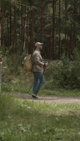 people hiking in the forest