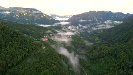 the green and yellow colors of autumn are contrasts of october and november. the beauty of a cinematic drone video provokes: the wish of transcendence and happiness of green life