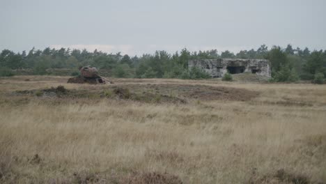 Some-old-WW2-tanks-in-the-british-military-training-area-Senne-in-Paderborn,-Germany