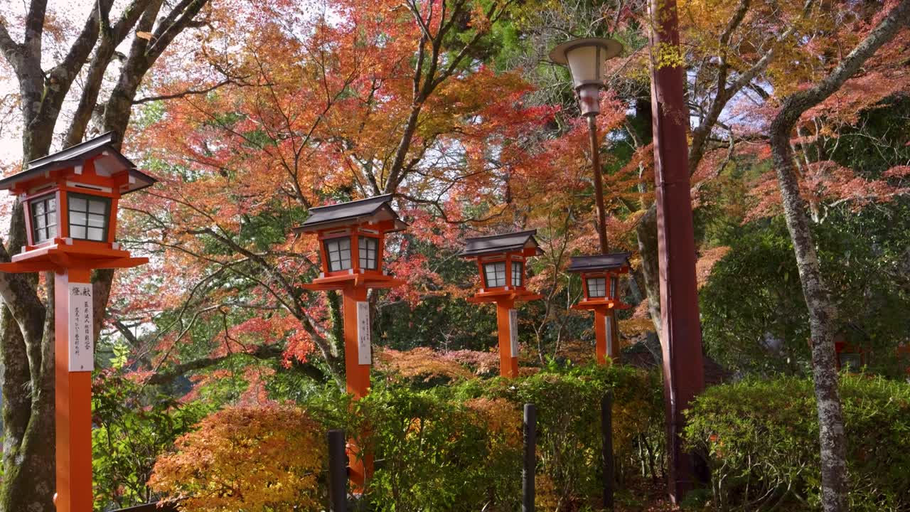hermoso empujón cinematográfico hacia los terrenos del templo durante los colores de otoño en kurama-dera en kyoto