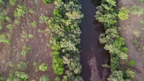 Certical-drone-view-over-the-Victoria-River-at-Kalkaringi-at-dusk,-Northern-Territory,-Australia