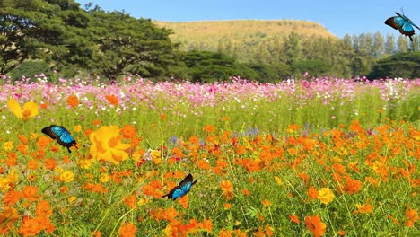 a blue butterfly gracefully flutters over a colorful flower field, set against a serene landscape with lush greenery