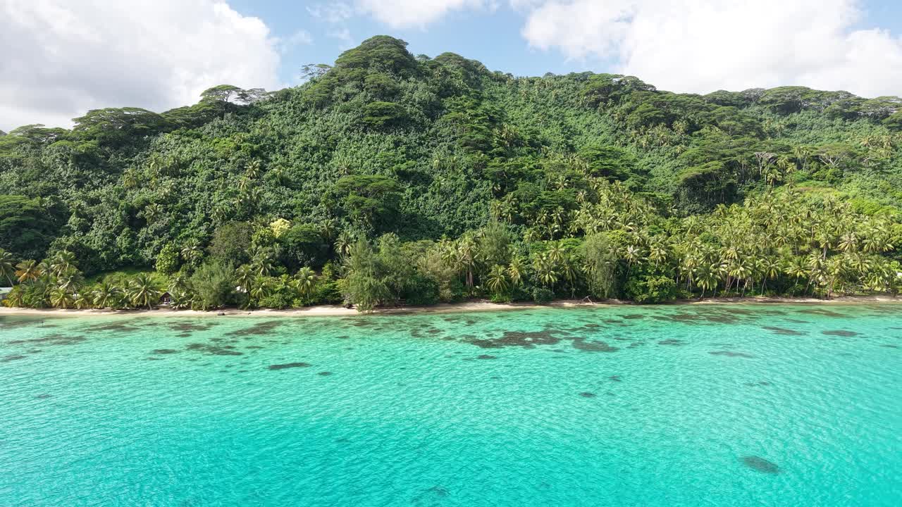 French Polynesia, Revealing Drone Shot of Tropical Lush, Lagoon and Green Island