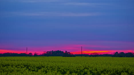 Timelapse-De-Un-Hermoso-Campo-De-Colza-Contra-El-Cielo-Azul-Y-Rosa-Durante-La-Puesta-De-Sol-En-Timelapse