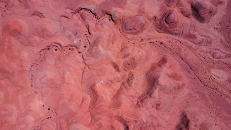 Top-down-drone-shot-flying-over-the-red-rock-formations-and-a-road-going-through-the-Talampaya-National-Park-in-La-Rioja,-Argentina