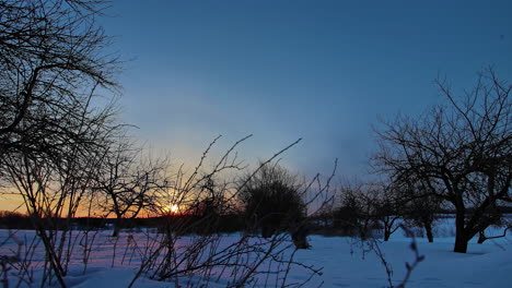 winter landscape covered with snow