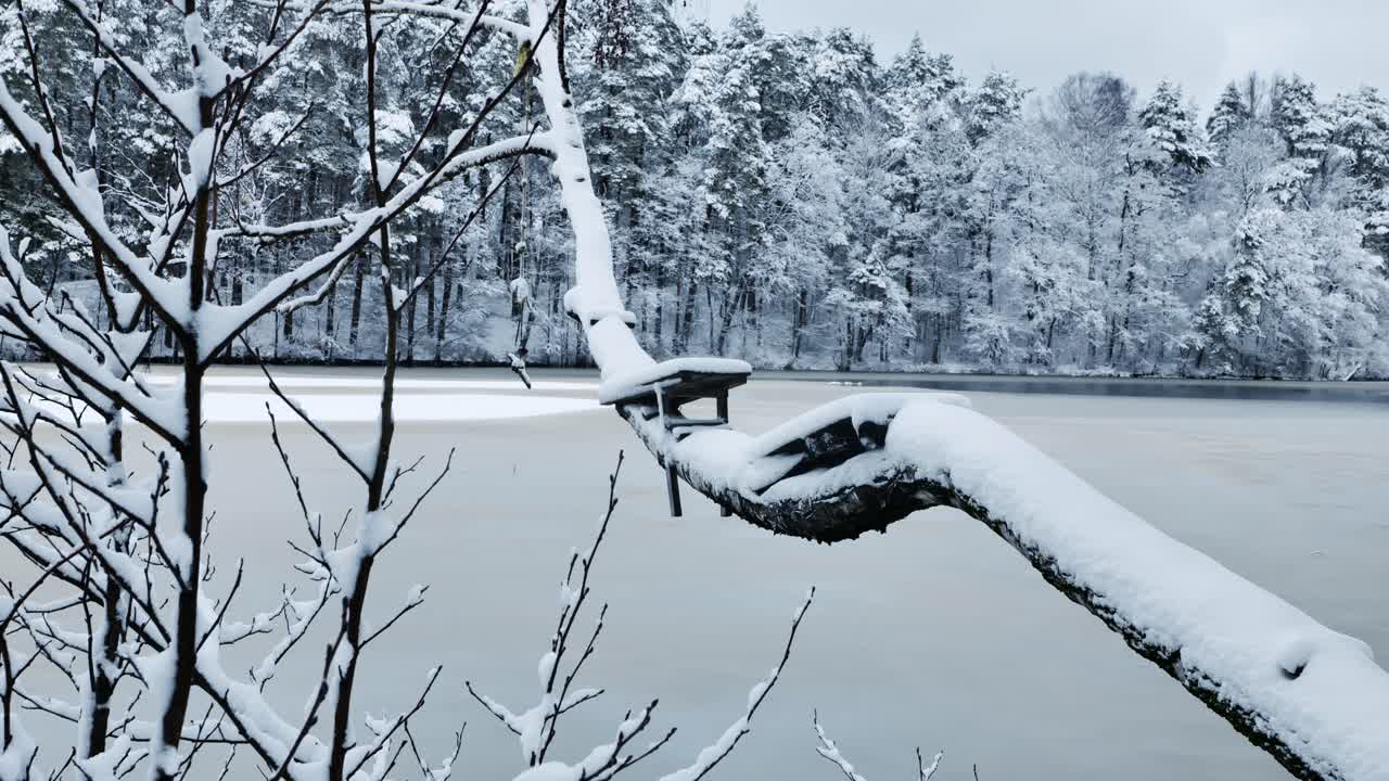 Snow-covered bent tree with swing over a frozen lake - serene winter atmosphere