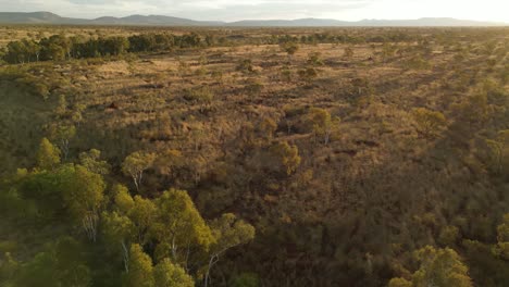 proyecto de regeneración de oasis verdes en el desierto australiano durante la puesta de sol, dinámica aérea