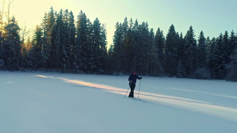 Persona-Solitaria-Esquiando-A-Través-De-Un-Paisaje-Nevado-Con-Un-Denso-Bosque-En-El-Fondo,-Bajo-Un-Cielo-Despejado