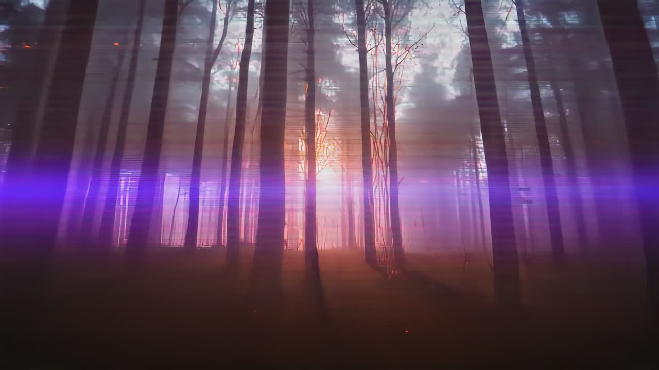 Brightening orange glow lighting central trunks and mist in pine woods, with purple band and embers