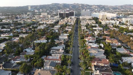 palm tree lined street in los angeles california