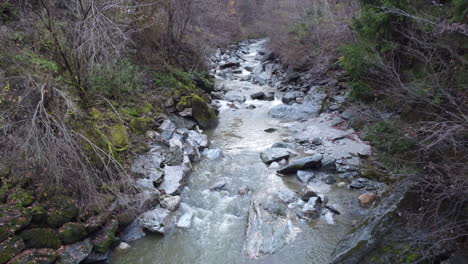 Luftaufnahme-Kleiner-Bergfluss-In-Bewaldetem-Tal,-Falldrohnenansicht