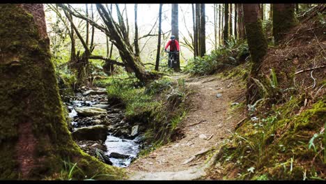 mountain biker riding bicycle in forest