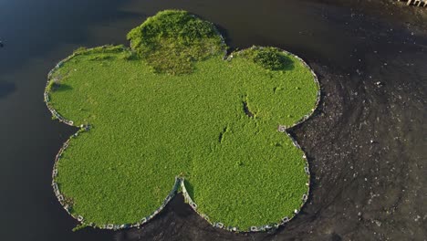 aerial top down of riachuelo river floating ecosystem in polluted river in buenos aires