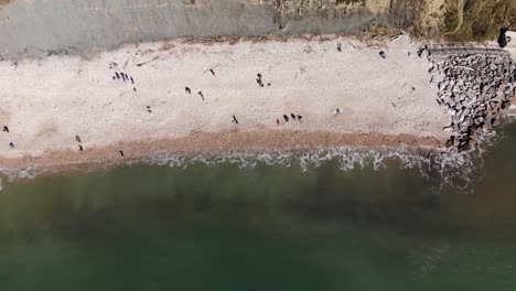 Aerial-overhead-View-at-people-on-Charmouth-Beach,-Dorset,-England