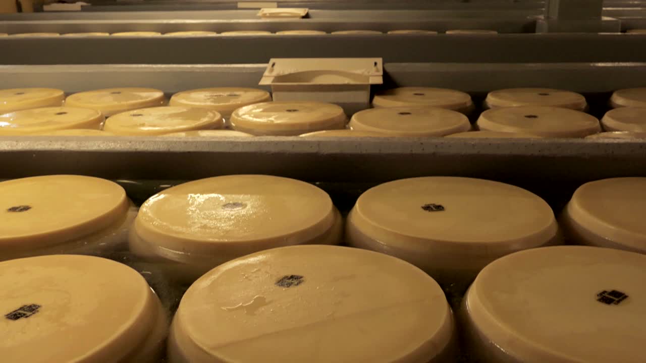 Parmesan cheese ripening in brine, floating, parmigiano reggiano in salt water