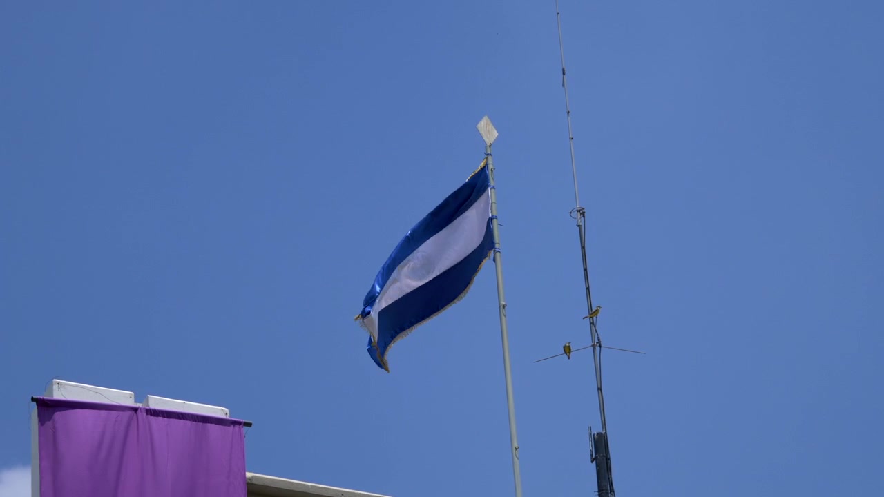 El Salvadors flag vajer mod en klar blå himmel på en solskinsdag. Fredelig udendørsscene, der symboliserer national identitet, frihed og centralamerikansk kultur