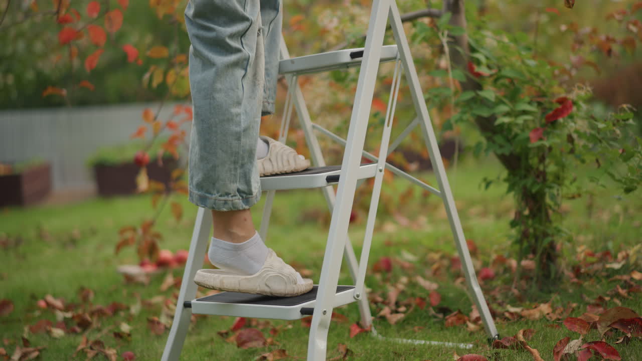Person climbing ladder in garden faded jeans and sneakers, stepping up toward branch, autumn leaves scattered, prepping for harvest, pruning actions, steady balance on aluminum ladder, seasonal